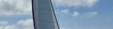 Galerie Australis