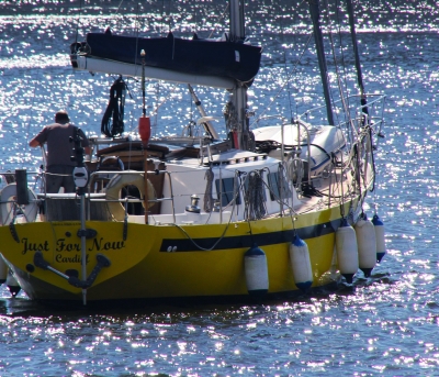 Naviguer avec des pros de la voile