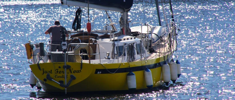 Naviguer avec des pros de la voile