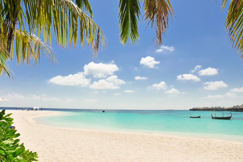Les Caraïbes